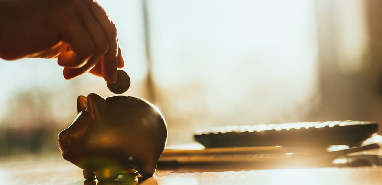 Hand placing a coin into a piggy bank in warm sunlight.