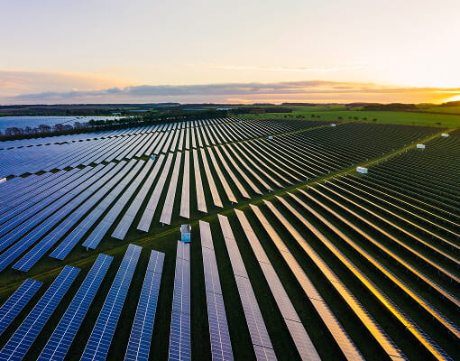 Solar farm at dusk